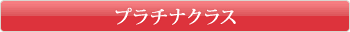 �v���`�i�N���X