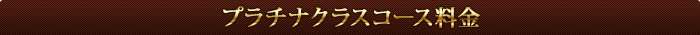 �v���`�i�N���X�R�[�X����
